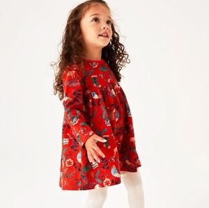{Next} UK Red Christmas Holiday Bird Print Dress